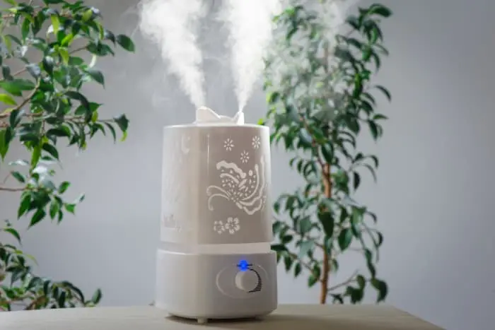 can you put essential oils in humidifiers